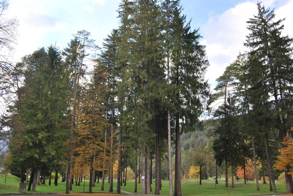 דירות קומאנו טרמה Residenza Finestra Sul Parco מראה חיצוני תמונה